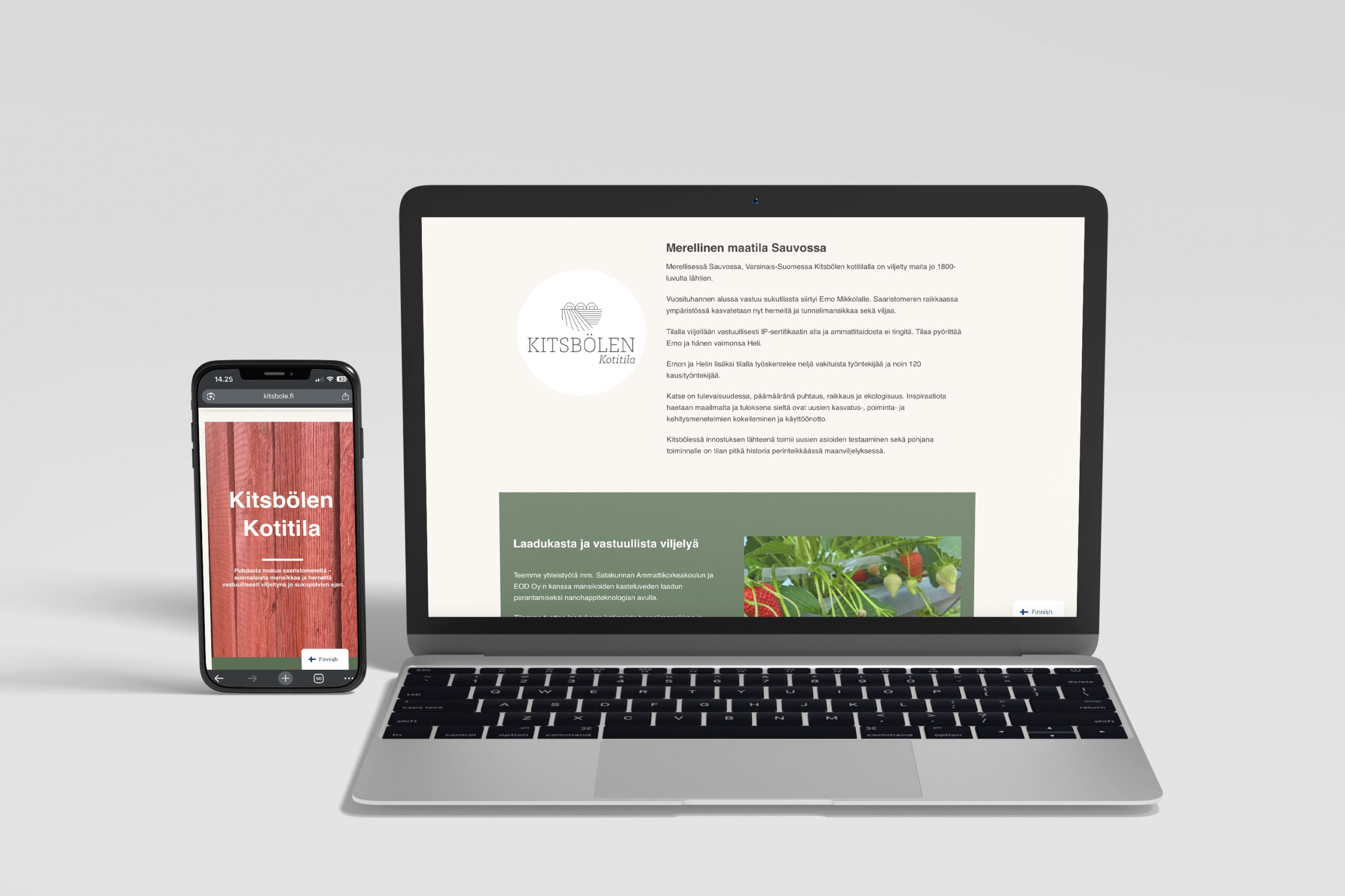 kotisivut wordpress